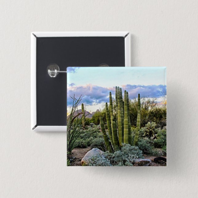 Scottsdale Succulent Sunset 15 Cm Square Badge (Front & Back)