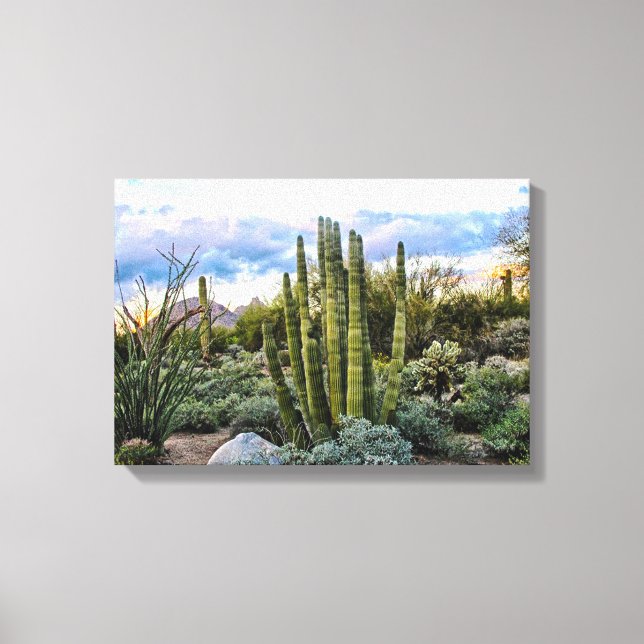 Scottsdale Succulent Sunset Canvas Print (Front)