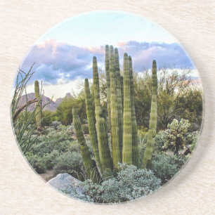 Scottsdale Succulent Sunset Coaster
