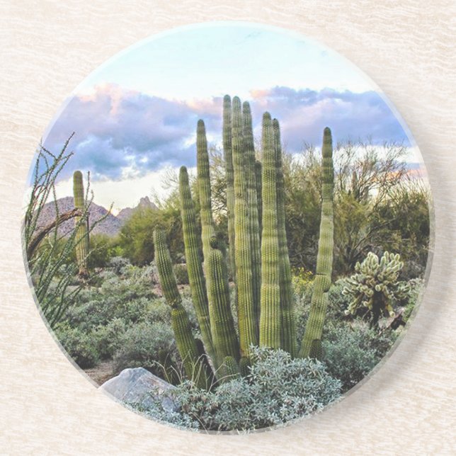 Scottsdale Succulent Sunset Coaster (Front)