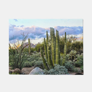 Scottsdale Succulent Sunset Doormat