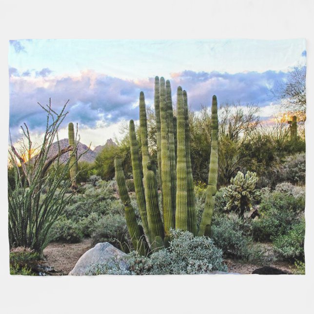 Scottsdale Succulent Sunset Fleece Blanket (Front (Horizontal))
