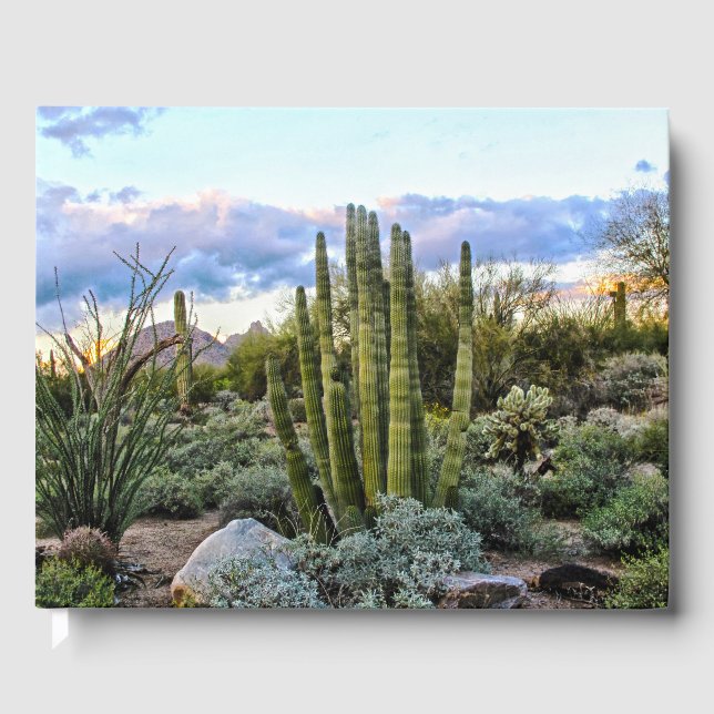 Scottsdale Succulent Sunset Guest Book (Front)