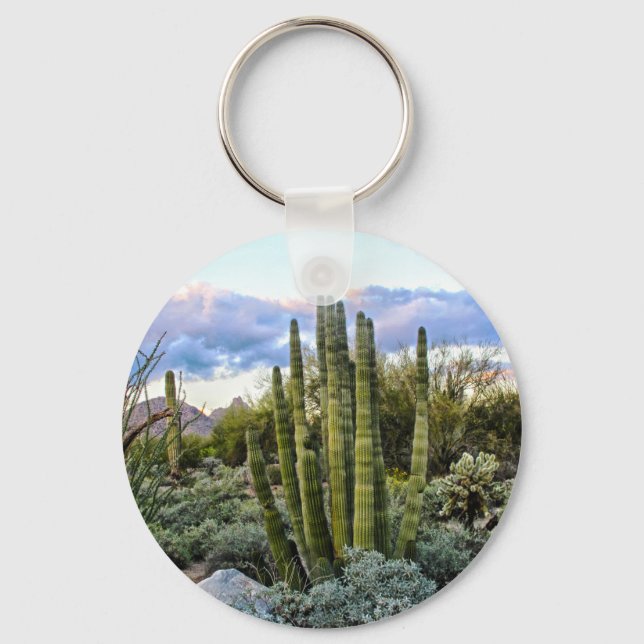 Scottsdale succulent Sunset Key Ring (Front)