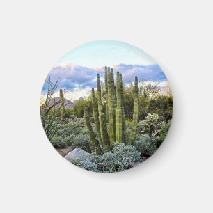 Scottsdale succulent Sunset Magnet