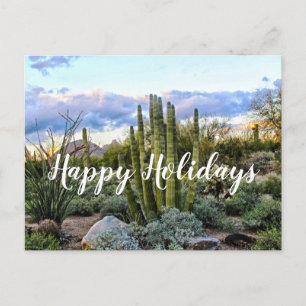 Scottsdale Succulent Sunset, Scottsdale, Arizona Postcard