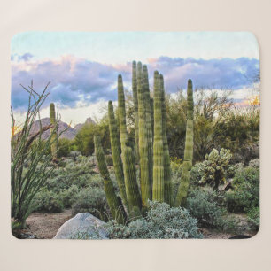 Scottsdale Succulent Sunset Sherpa Blanket
