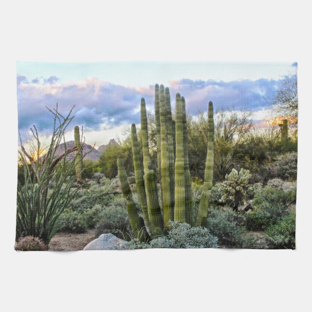 Scottsdale Succulent Sunset Tea Towel (Horizontal)