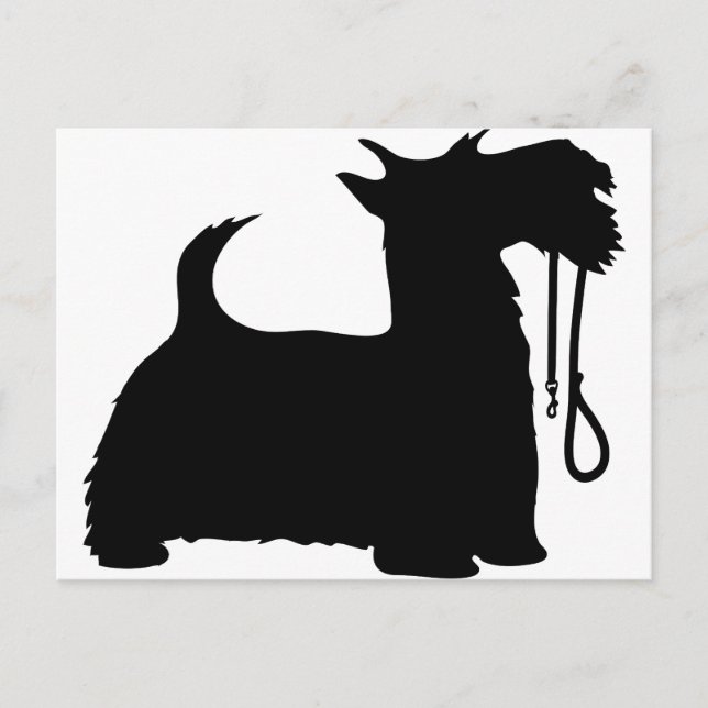Scotty Dog and Leash Postcard (Front)