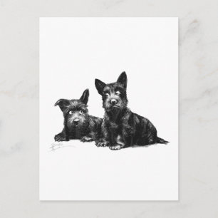 SCOTTY DOGS CHECK AND RECHECK POSTCARD