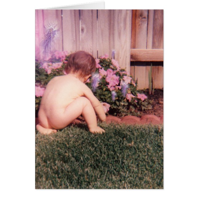Scotty's Garden (Front)
