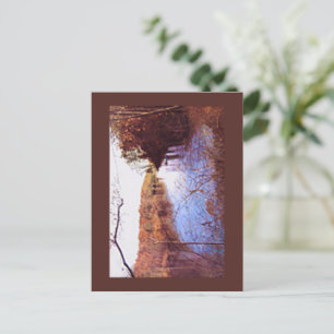 SCOTTY'S RETREAT Postcard