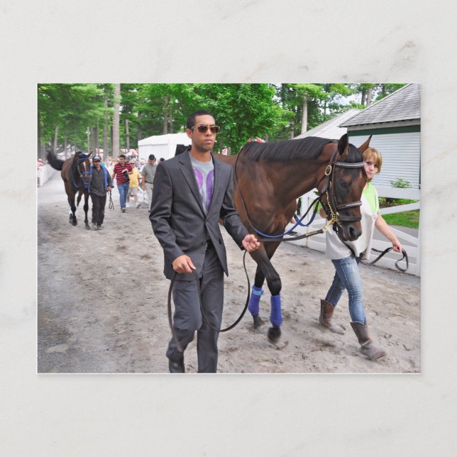 Scotus by Successful Appeal-Divine Postcard (Front)