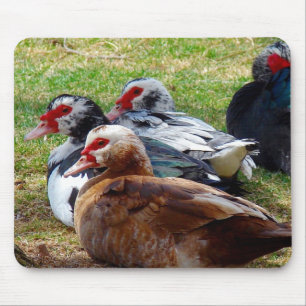 Scovies Mouse Mat