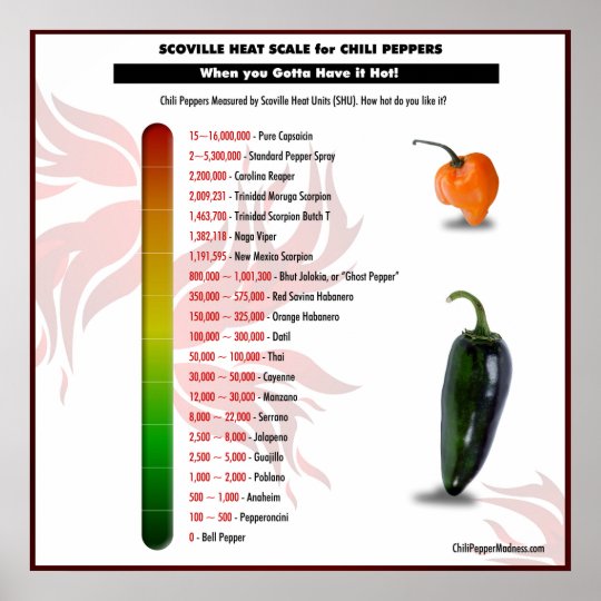 Scoville Heat Scale for Chilli Peppers Poster | Zazzle.co.uk