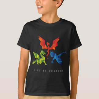 SCP-1762 Where The Dragons Went Origami Style Drag T-Shirt