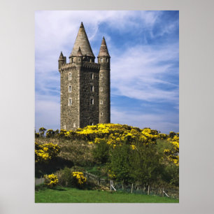 Scrabo Tower Poster
