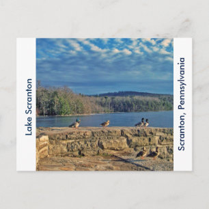 Scranton PA-Lake Scranton Post Card-Ducks Postcard
