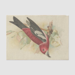 Scrap Ephemera Design Series #24 Tissue Paper