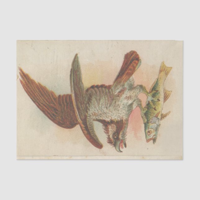 Scrap Ephemera  Design Series #3 Tissue Paper (Front)