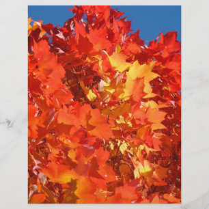 Scrapbooking paper Autumn Theme Halloween Harvest