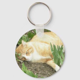 Scrapper in the garden key ring