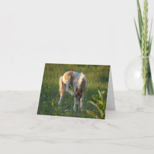 Scratch an Itch Next Little Play Day Card