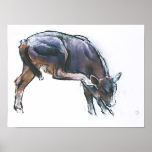 Scratching Calf 2006 Poster