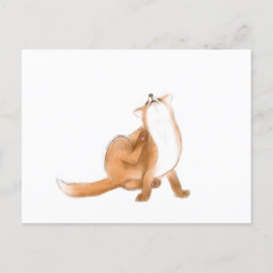 Scratching fox postcard