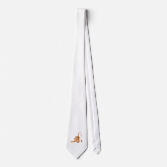 Scratching fox tie (Front)