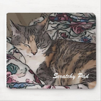 scratchy pad mouse mat