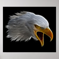 Screaming American Bald Eagle Head