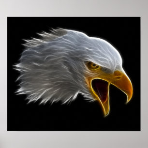 Screaming American Bald Eagle Head Poster