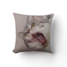 Screaming British Shorthair