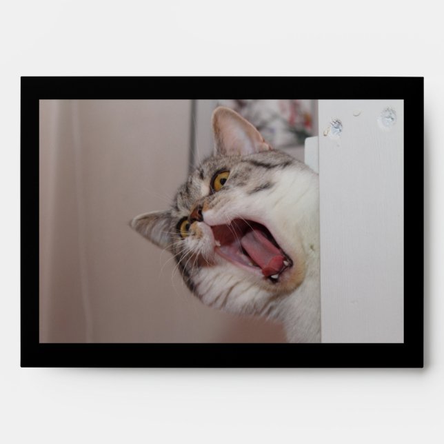 Screaming British Shorthair Envelope (Front)
