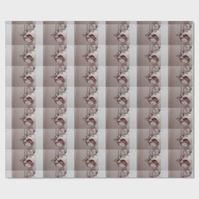 Screaming British Shorthair Wrapping Paper (Flat)