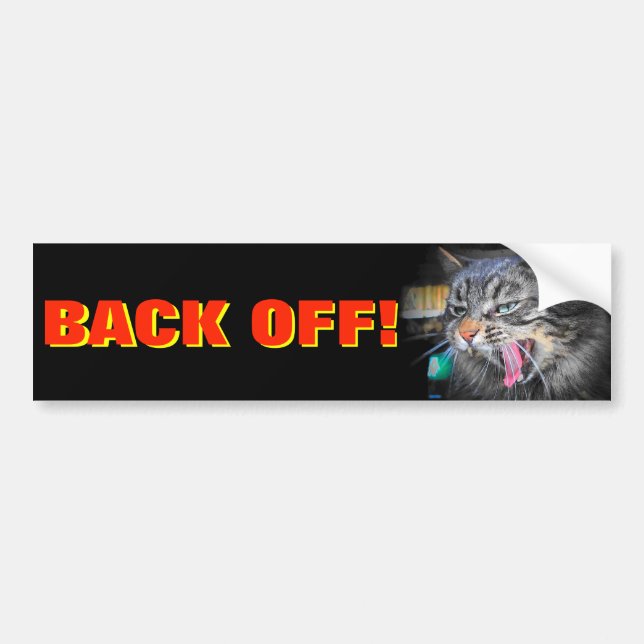 Screaming Bumper Cat Says Back off Sticker (Front)