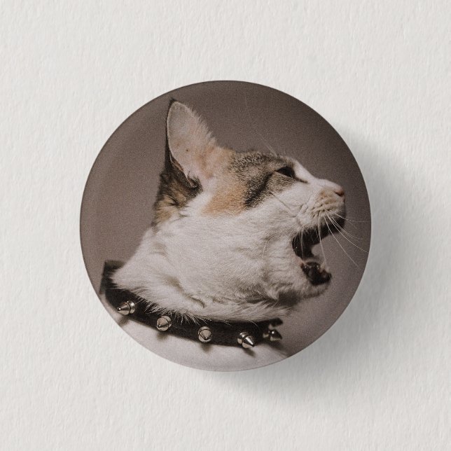 Screaming Calico Cat Pin (Front)