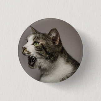 Screaming Cat Pin