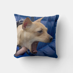 Screaming Chihuahua Cushion