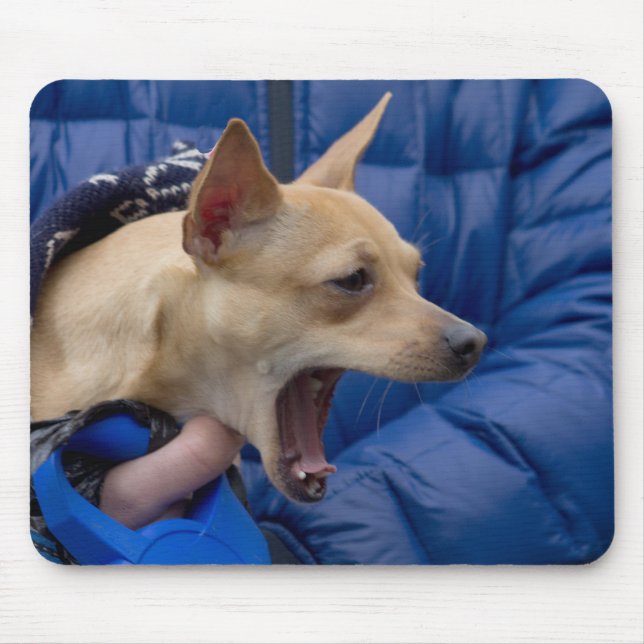 Screaming Chihuahua Mouse Mat (Front)