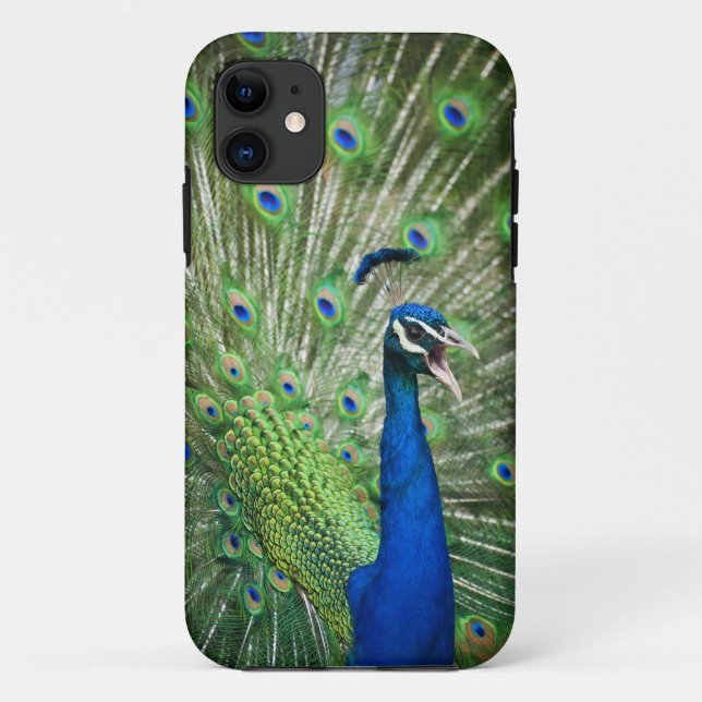 Screaming peacock Case-Mate iPhone case (Back)