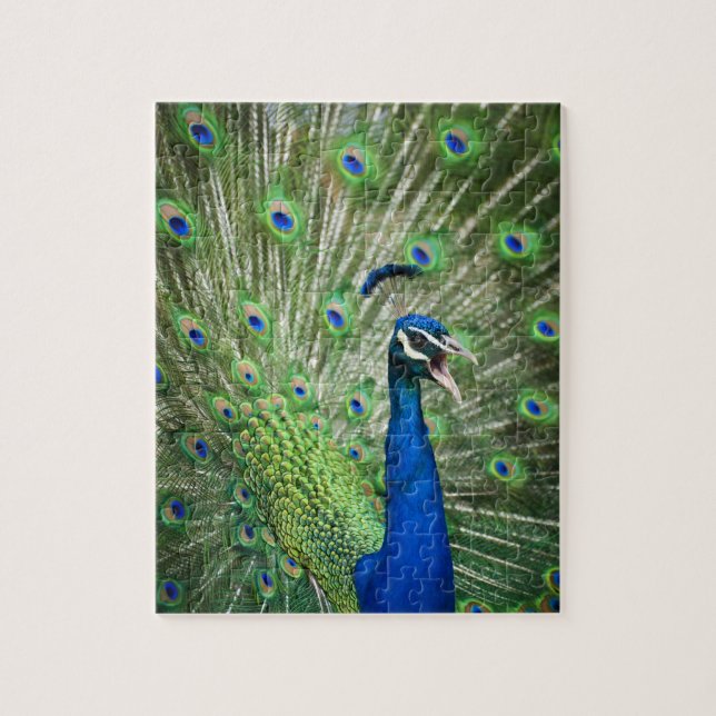 Screaming peacock jigsaw puzzle (Vertical)