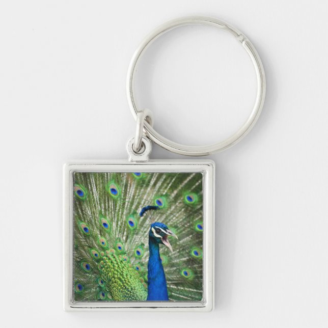 Screaming peacock key ring (Front)
