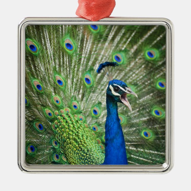 Screaming peacock metal tree decoration (Front)
