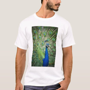 Screaming peacock T-Shirt