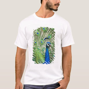 Screaming peacock T-Shirt