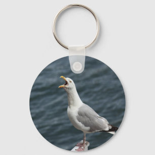 screaming seagull singing love songs key ring
