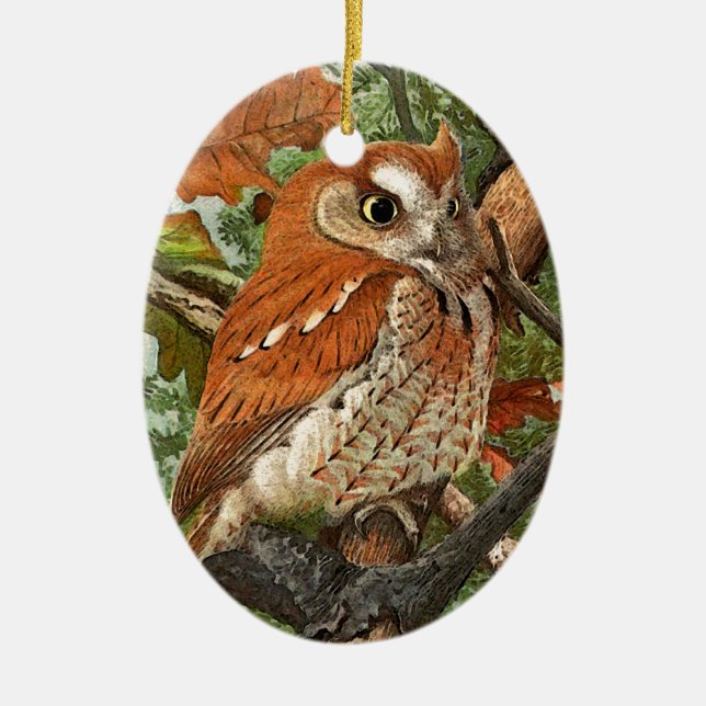 Screech Owl (brown phase) Ceramic Tree Decoration (Front)