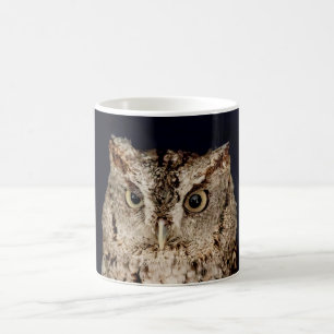 Screech Owl Coffee Mug